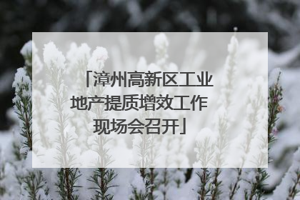 漳州高新区工业地产提质增效工作现场会召开