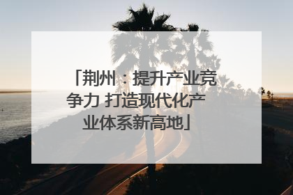 荆州：提升产业竞争力 打造现代化产业体系新高地
