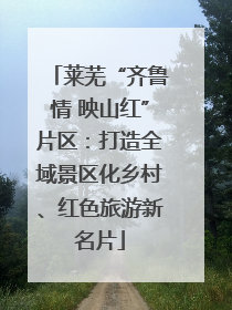 莱芜“齐鲁情 映山红”片区：打造全域景区化乡村、红色旅游新名片