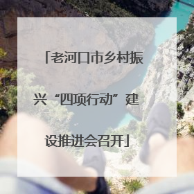 老河口市乡村振兴“四项行动”建设推进会召开