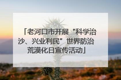 老河口市开展“科学治沙、兴业利民”世界防治荒漠化日宣传活动