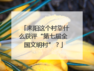 耒阳这个村靠什么获评“第七届全国文明村”？