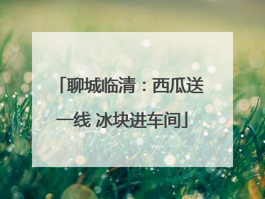 聊城临清：西瓜送一线 冰块进车间