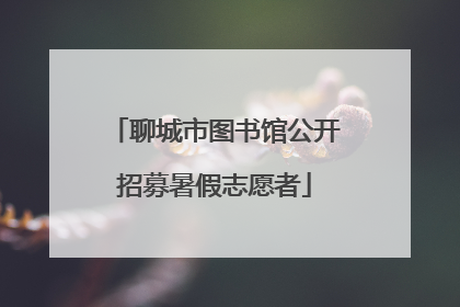 聊城市图书馆公开招募暑假志愿者