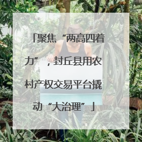 聚焦“两高四着力”，封丘县用农村产权交易平台撬动“大治理”