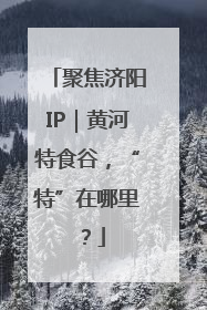 聚焦济阳IP｜黄河特食谷，“特”在哪里？