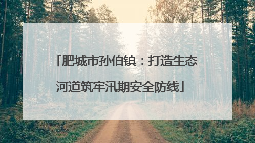 肥城市孙伯镇：打造生态河道筑牢汛期安全防线