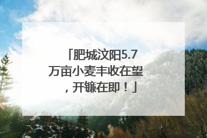 肥城汶阳5.7万亩小麦丰收在望，开镰在即！