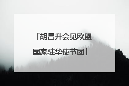 胡昌升会见欧盟国家驻华使节团