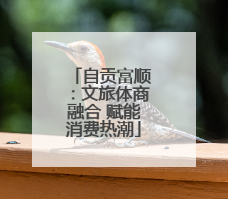 自贡富顺：文旅体商融合 赋能消费热潮