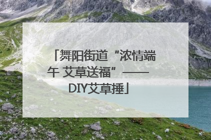 舞阳街道“浓情端午 艾草送福”——DIY艾草捶