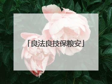 良法良技保粮安