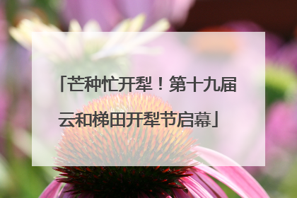芒种忙开犁!第十九届云和梯田开犁节启幕