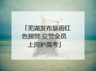 芜湖发布暴雨红色预警 交警全员上岗护高考