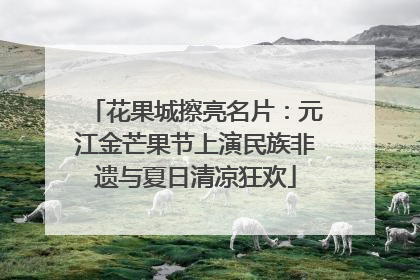 花果城擦亮名片：元江金芒果节上演民族非遗与夏日清凉狂欢