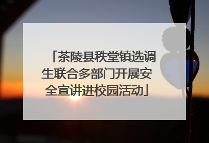 茶陵县秩堂镇选调生联合多部门开展安全宣讲进校园活动
