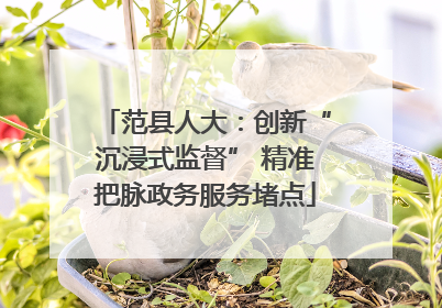 范县人大：创新“沉浸式监督” 精准把脉政务服务堵点