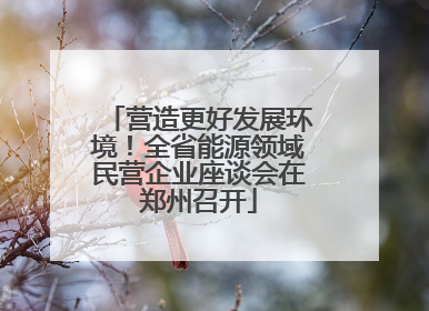 营造更好发展环境！全省能源领域民营企业座谈会在郑州召开