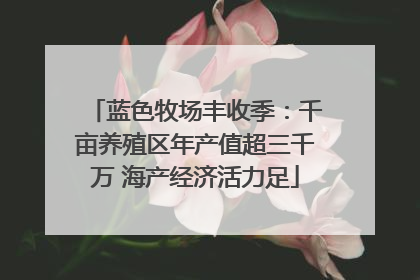 蓝色牧场丰收季：千亩养殖区年产值超三千万 海产经济活力足