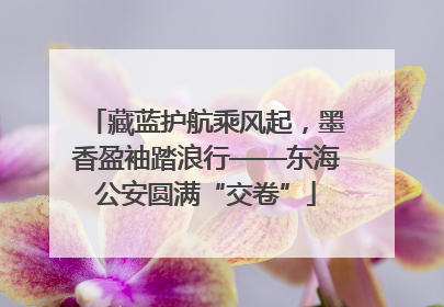 藏蓝护航乘风起，墨香盈袖踏浪行——东海公安圆满“交卷”