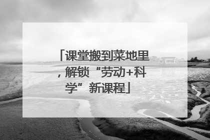 课堂搬到菜地里，解锁“劳动+科学”新课程