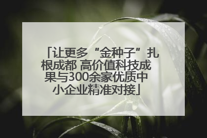 让更多“金种子”扎根成都 高价值科技成果与300余家优质中小企业精准对接