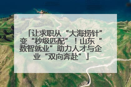 让求职从“大海捞针”变“秒级匹配”！山东“数智就业”助力人才与企业“双向奔赴”