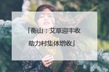 衡山：艾草迎丰收 助力村集体增收