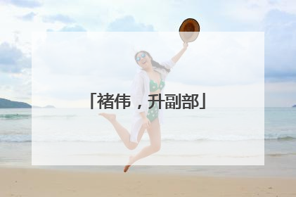 褚伟，升副部