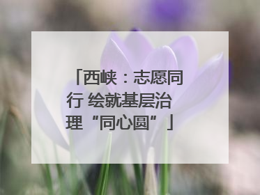 西峡：志愿同行 绘就基层治理“同心圆”
