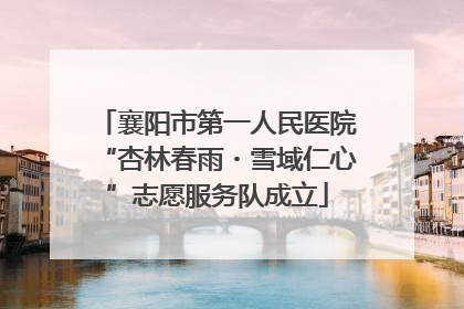 襄阳市第一人民医院“杏林春雨・雪域仁心”志愿服务队成立