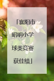 襄阳市昭明小学球类竞赛获佳绩