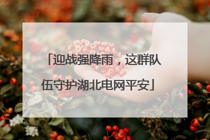 迎战强降雨，这群队伍守护湖北电网平安
