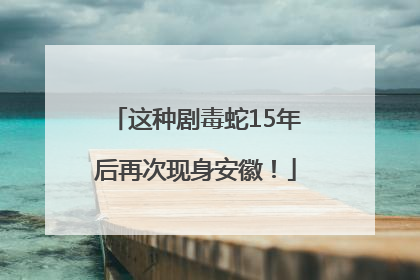 这种剧毒蛇15年后再次现身安徽！