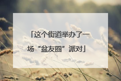 这个街道举办了一场“盆友圈”派对
