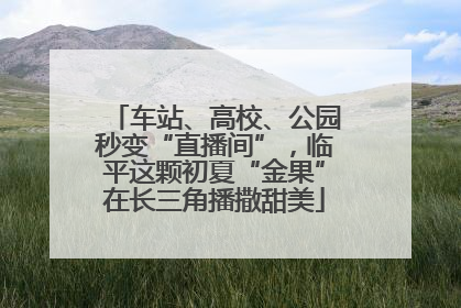车站、高校、公园秒变“直播间”，临平这颗初夏“金果”在长三角播撒甜美