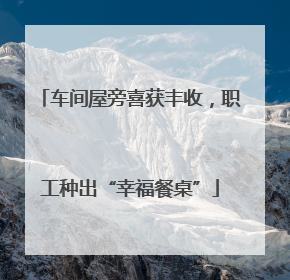 车间屋旁喜获丰收，职工种出“幸福餐桌”