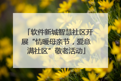 软件新城智慧社区开展“情暖母亲节，爱意满社区”敬老活动