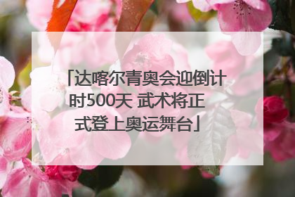 达喀尔青奥会迎倒计时500天 武术将正式登上奥运舞台