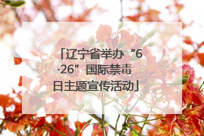 辽宁省举办“6·26”国际禁毒日主题宣传活动