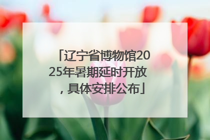 辽宁省博物馆2025年暑期延时开放，具体安排公布