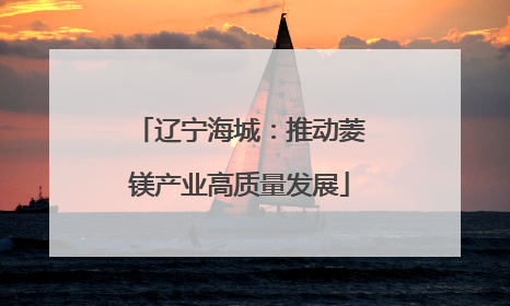 辽宁海城：推动菱镁产业高质量发展