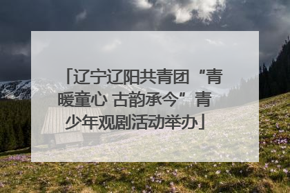辽宁辽阳共青团“青暖童心 古韵承今”青少年观剧活动举办