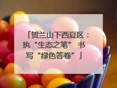 贺兰山下西夏区：执“生态之笔” 书写“绿色答卷”