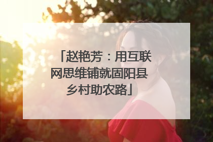 赵艳芳：用互联网思维铺就固阳县乡村助农路
