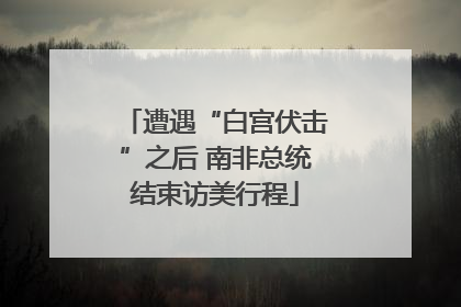 遭遇“白宫伏击”之后 南非总统结束访美行程