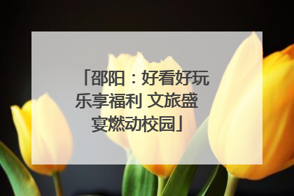 邵阳：好看好玩乐享福利 文旅盛宴燃动校园