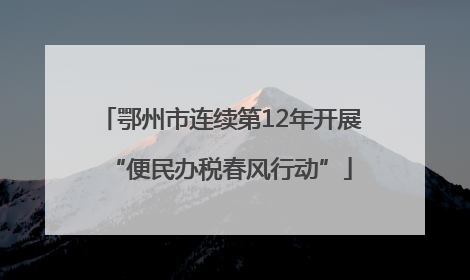 鄂州市连续第12年开展“便民办税春风行动”