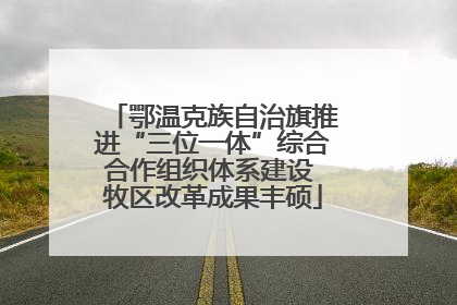 鄂温克族自治旗推进“三位一体”综合合作组织体系建设 牧区改革成果丰硕