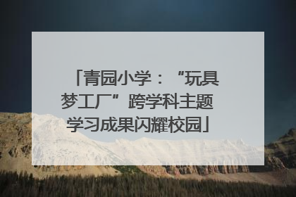 青园小学：“玩具梦工厂”跨学科主题学习成果闪耀校园